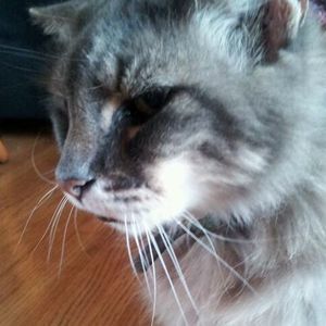 Meet your Posher, Christine